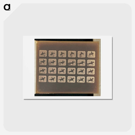 アートポストカード-Leaping
 - エドワード マイブリッジ Postcard.