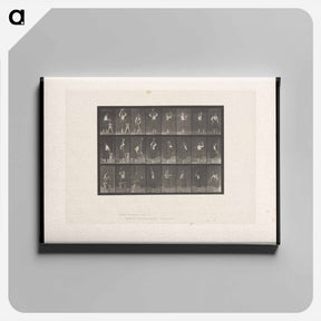 アートパネル-Woman Pouring Water
 - エドワード マイブリッジ Canvas.