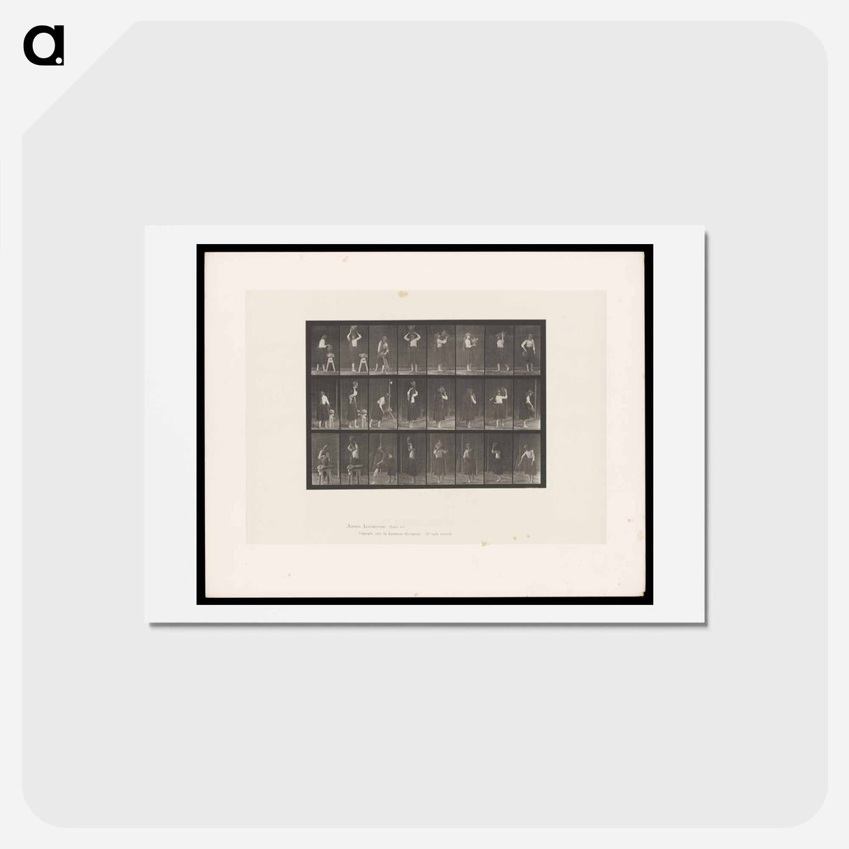 アートポストカード-Woman Pouring Water
 - エドワード マイブリッジ Postcard.