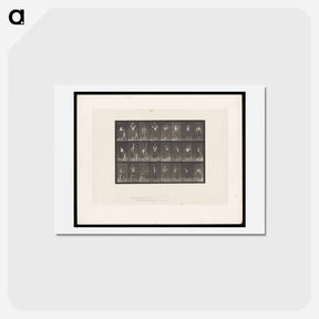 アートポストカード-Woman Pouring Water
 - エドワード マイブリッジ Postcard.