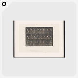 アートポストカード-Woman Pouring Water
 - エドワード マイブリッジ Postcard.