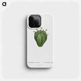 Euphorbia Meloformis - ピエール ジョゼフ ルドゥーテ Phone Case.