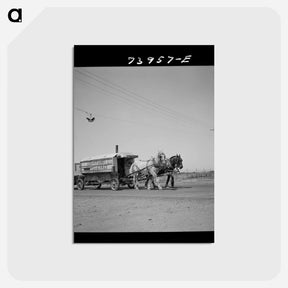 アートポストカード-Scissors Grinder
 - ラッセル リー Postcard.