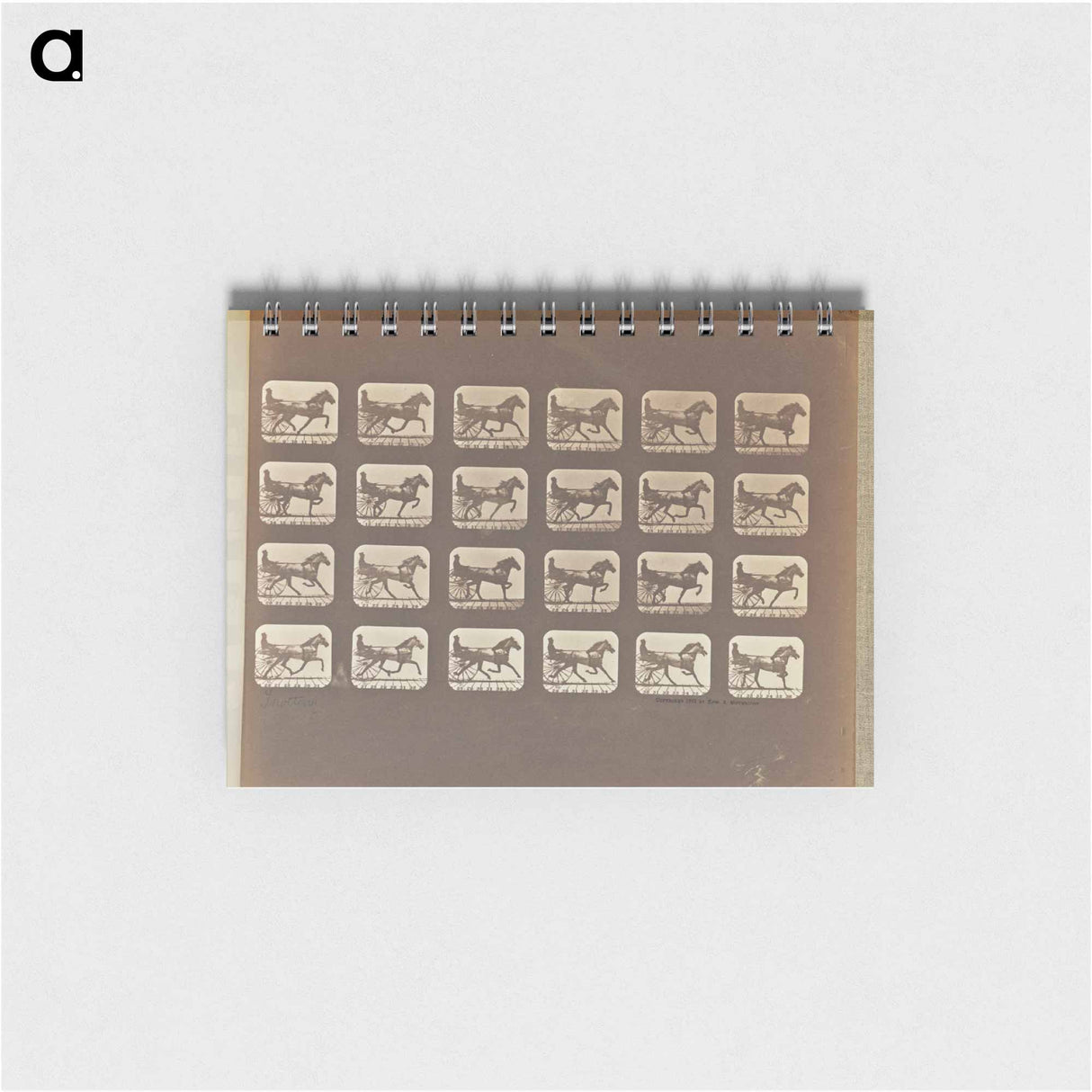 アートメモ帳-Trotting
 - エドワード マイブリッジ Memo.