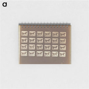 アートメモ帳-Trotting
 - エドワード マイブリッジ Memo.
