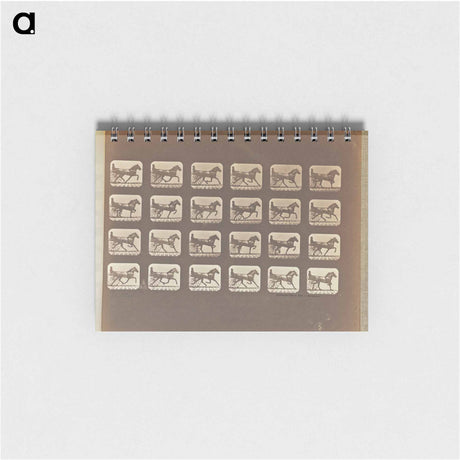 アートメモ帳-Trotting
 - エドワード マイブリッジ Memo.