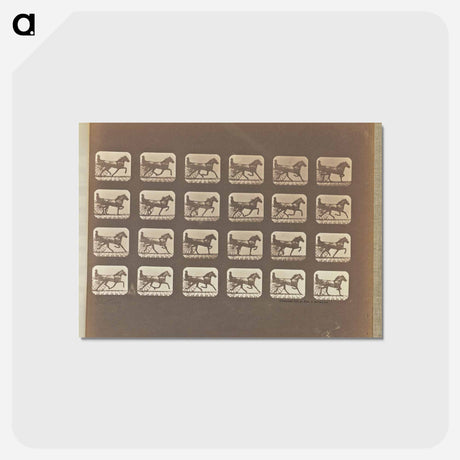 アートポストカード-Trotting
 - エドワード マイブリッジ Postcard.