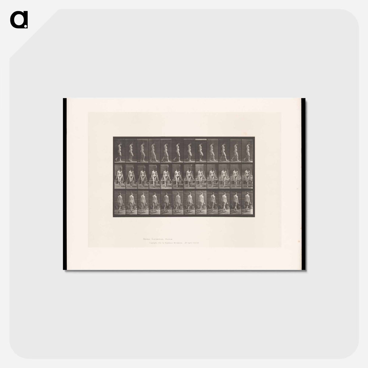 アートポストカード-Woman with Buckets
 - エドワード マイブリッジ Postcard.