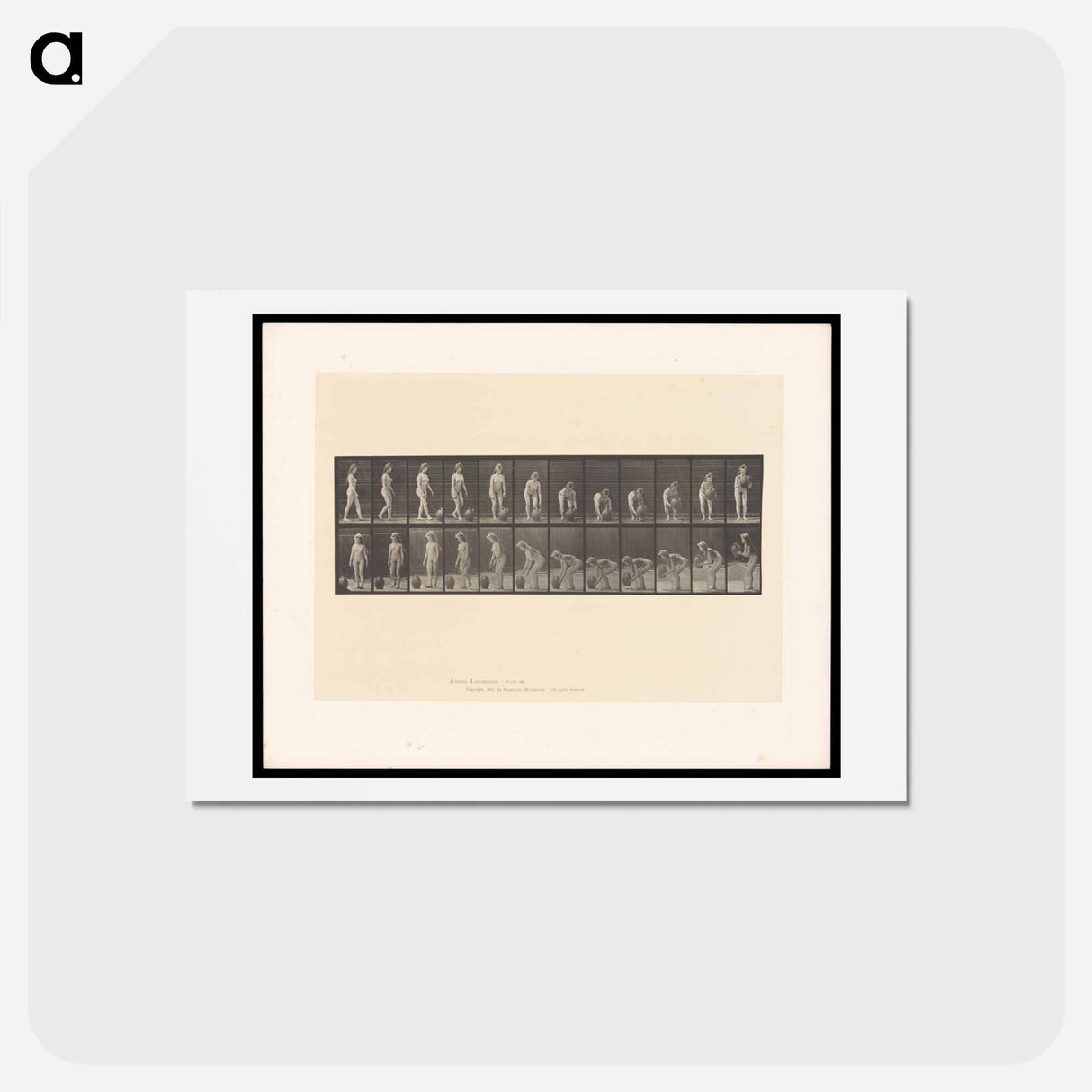 アートポストカード-The Water Bearer
 - エドワード マイブリッジ Postcard.