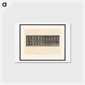 アートポストカード-The Water Bearer
 - エドワード マイブリッジ Postcard.
