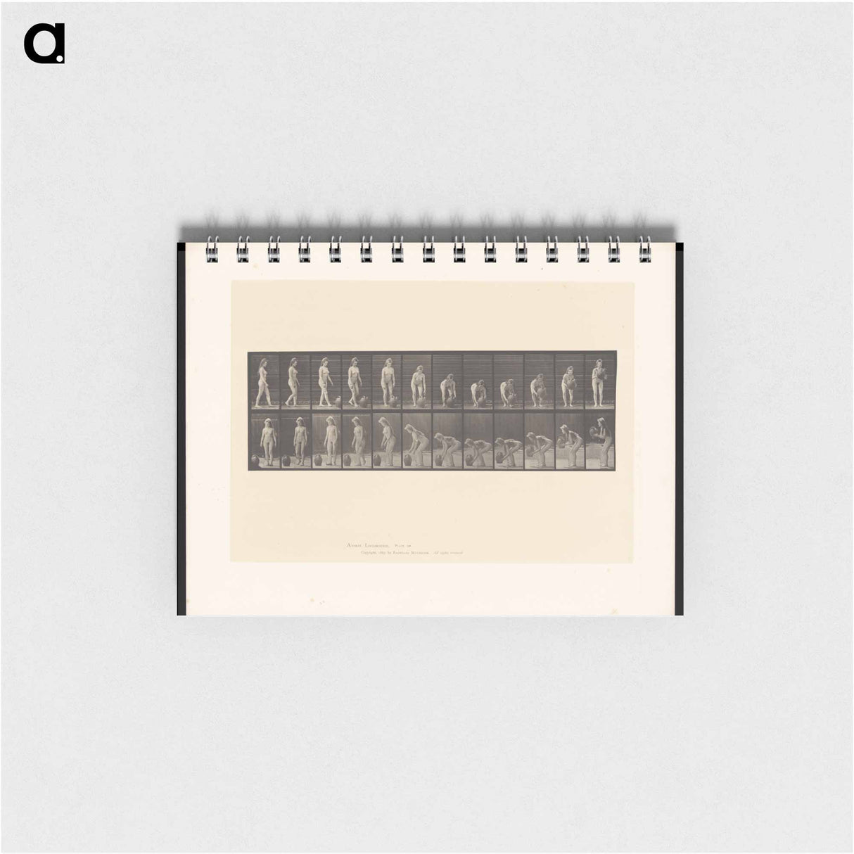 アートメモ帳-The Water Bearer
 - エドワード マイブリッジ Memo.