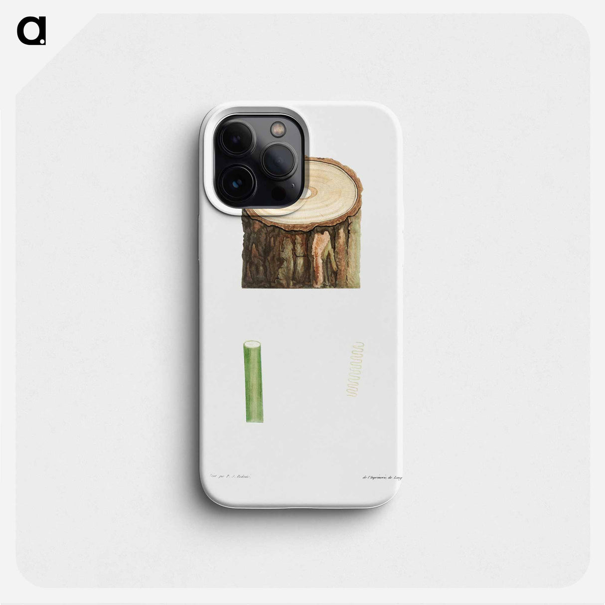 Tree stump and plant stem - ピエール ジョゼフ ルドゥーテ Phone Case.