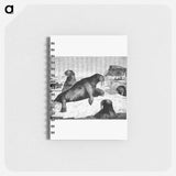 アートメモ帳-Walrus on an Ice-Pack
 - 大英図書館 Memo.