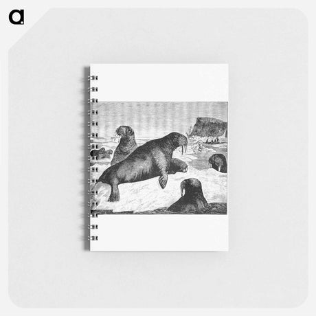 アートメモ帳-Walrus on an Ice-Pack
 - 大英図書館 Memo.