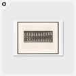 アートポストカード-Woman on Chair
 - エドワード マイブリッジ Postcard.