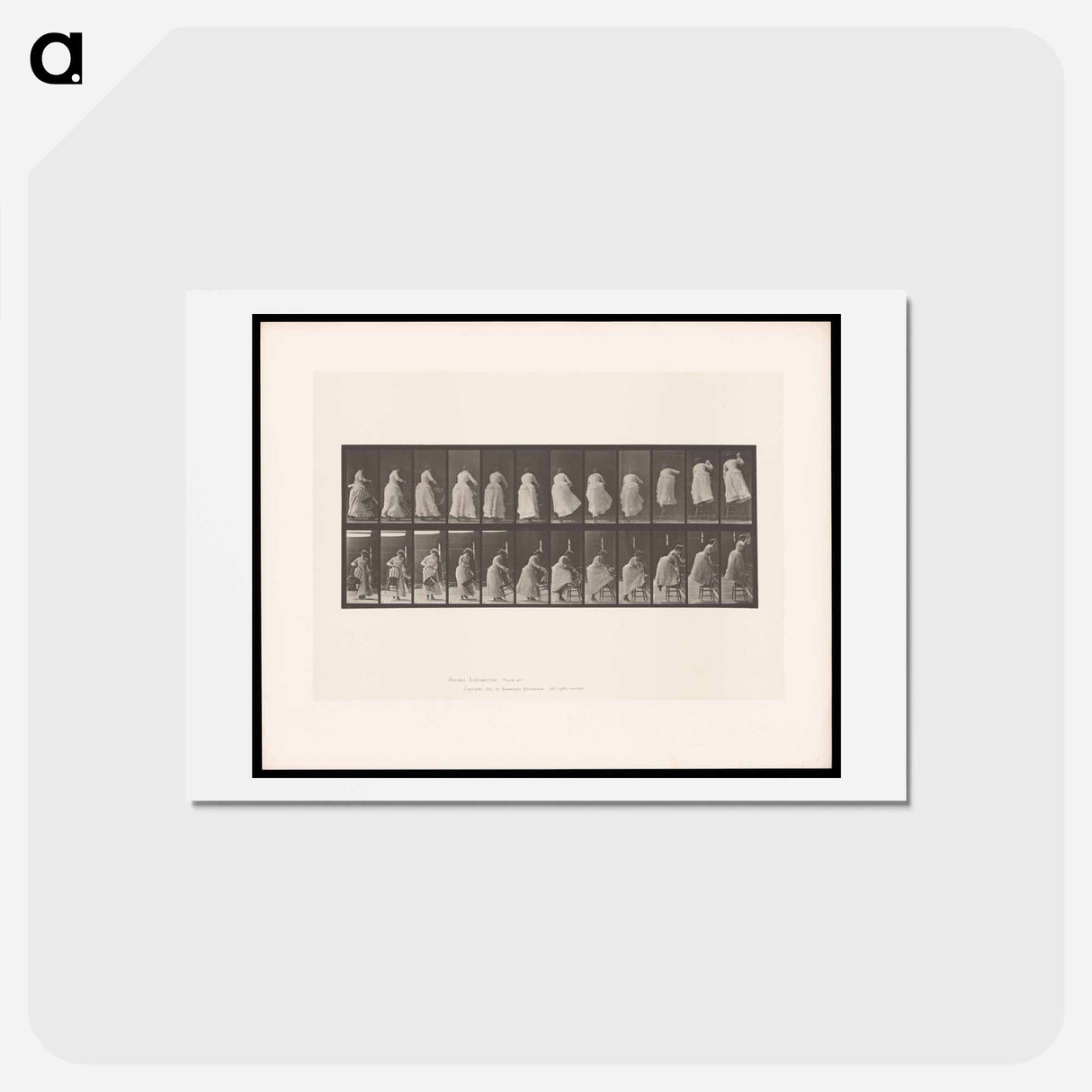 アートポストカード-Woman on Chair
 - エドワード マイブリッジ Postcard.