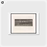 アートポストカード-Woman on Chair
 - エドワード マイブリッジ Postcard.