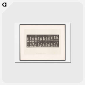 アートポストカード-Woman on Chair
 - エドワード マイブリッジ Postcard.