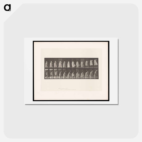 アートポストカード-Woman on Chair
 - エドワード マイブリッジ Postcard.