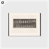 アートポストカード-Woman on Chair
 - エドワード マイブリッジ Postcard.