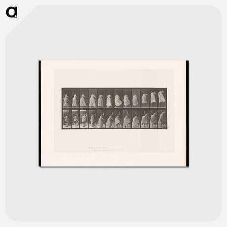 アートポストカード-Woman on Chair
 - エドワード マイブリッジ Postcard.