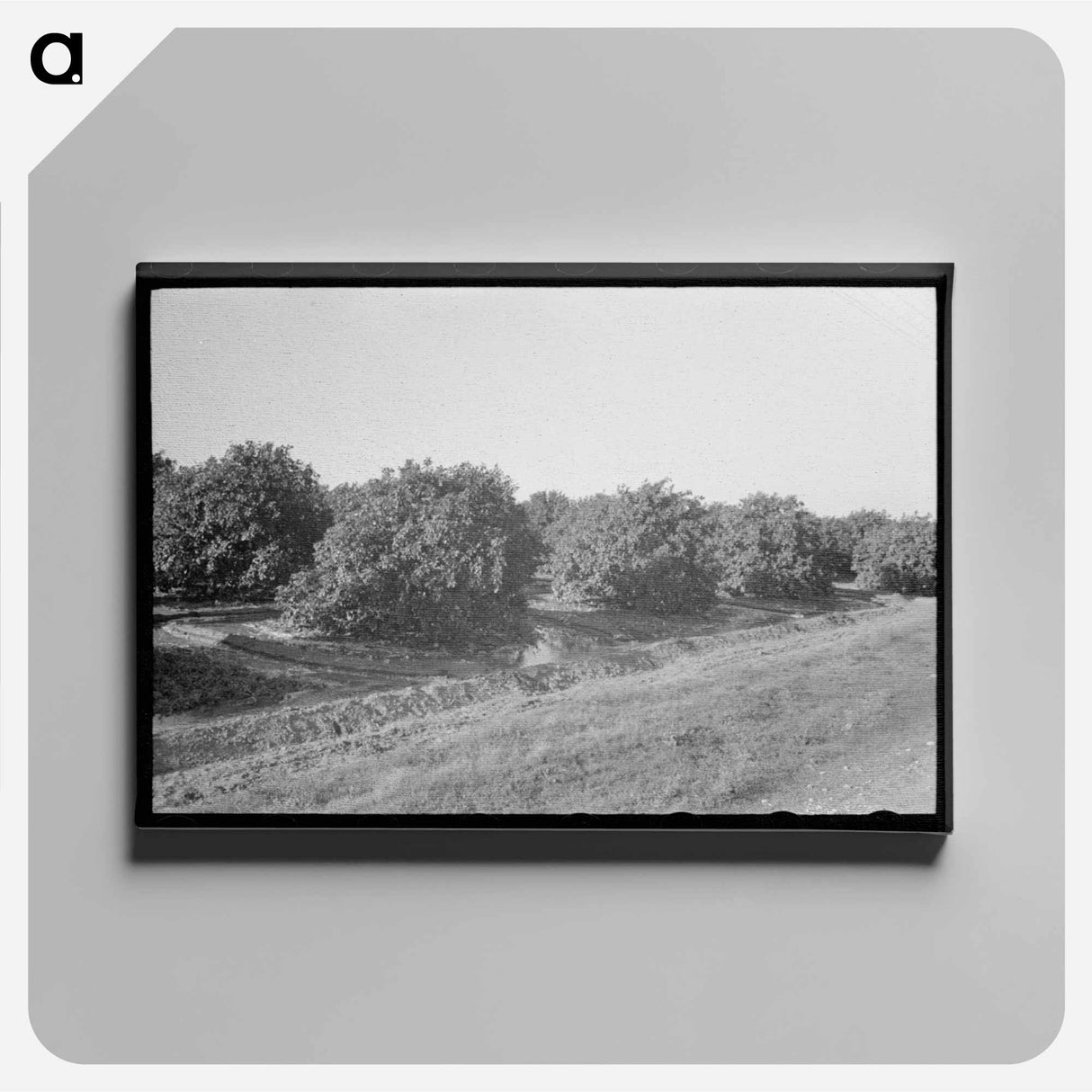 アートパネル-Citrus Grove Irrigation Near San Juan, Texas
 - ラッセル リー Canvas.
