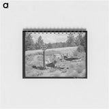 アートメモ帳-Highway Accident Marker, Bernalillo County, New Mexico
 - ラッセル リー Memo.