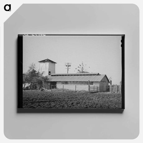 アートパネル-Farmstead of Carl Rubel, Yuba County, California
 - ラッセル リー Canvas.