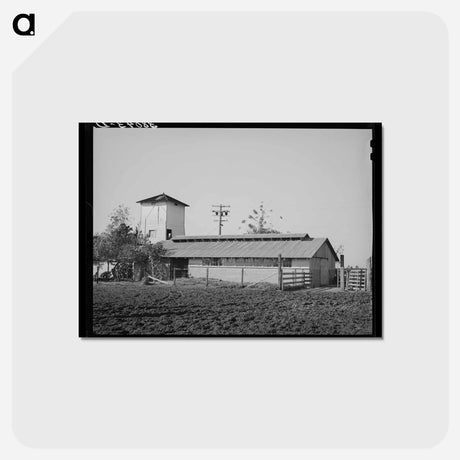 アートポストカード-Farmstead of Carl Rubel, Yuba County, California
 - ラッセル リー Postcard.