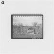 アートメモ帳-Cedar Post Fence, Kimble County, Texas
 - ラッセル リー Memo.
