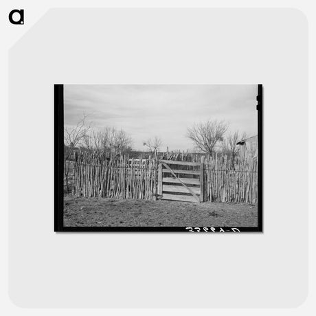 アートポストカード-Cedar Post Fence, Kimble County, Texas
 - ラッセル リー Postcard.