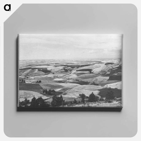 アートパネル-Wheat Fields from Winchester Hill, Nez Perce County, Idaho
 - ラッセル リー Canvas.
