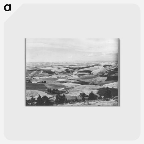アートポストカード-Wheat Fields from Winchester Hill, Nez Perce County, Idaho
 - ラッセル リー Postcard.