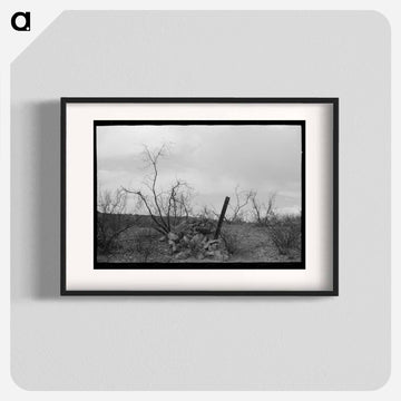 Miner's Monument, Cochise County, Arizona
 - ラッセル リー Poster.