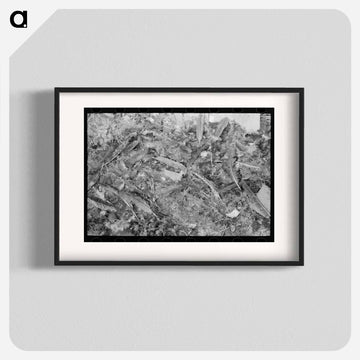 Turkey Feathers at Brownwood Cooperative
 - ラッセル リー Poster.