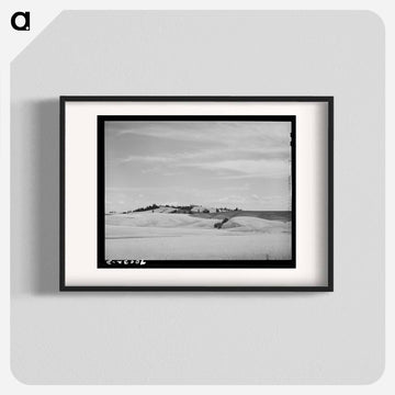 Wheat Fields, Nez Perce County, Idaho
 - ラッセル リー Poster.