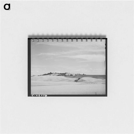 アートメモ帳-Wheat Fields, Nez Perce County, Idaho
 - ラッセル リー Memo.