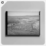 アートパネル-Little Colorado River, Apache County, at Springerville, Arizona
 - ラッセル リー Canvas.