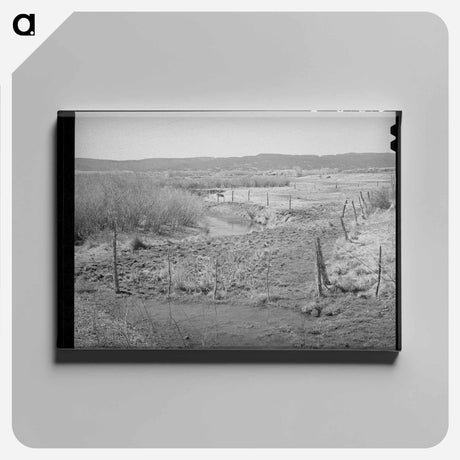 アートパネル-Little Colorado River, Apache County, at Springerville, Arizona
 - ラッセル リー Canvas.