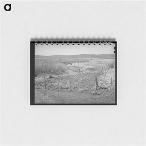 アートメモ帳-Little Colorado River, Apache County, at Springerville, Arizona
 - ラッセル リー Memo.
