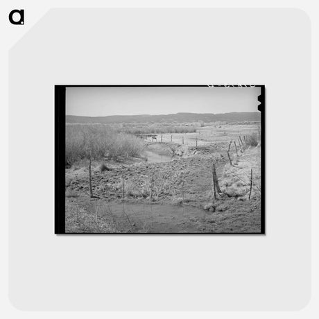 アートポストカード-Little Colorado River, Apache County, at Springerville, Arizona
 - ラッセル リー Postcard.