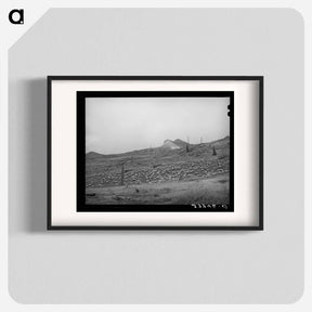 アートポスター-Sheep on Mountainside, San Juan County, Colorado
 - ラッセル リー Poster.