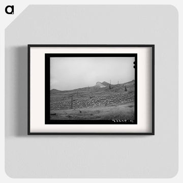 Sheep on Mountainside, San Juan County, Colorado
 - ラッセル リー Poster.