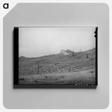 アートパネル-Sheep on Mountainside, San Juan County, Colorado
 - ラッセル リー Canvas.