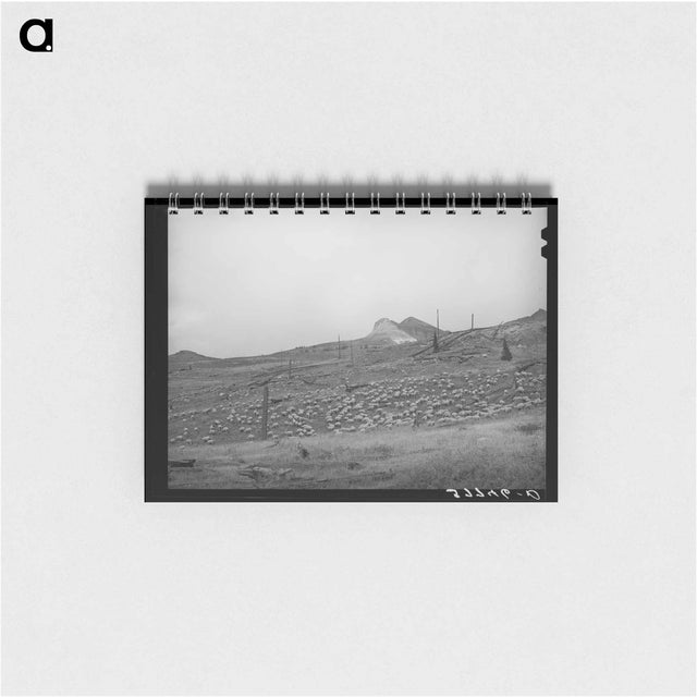 アートメモ帳-Sheep on Mountainside, San Juan County, Colorado
 - ラッセル リー Memo.