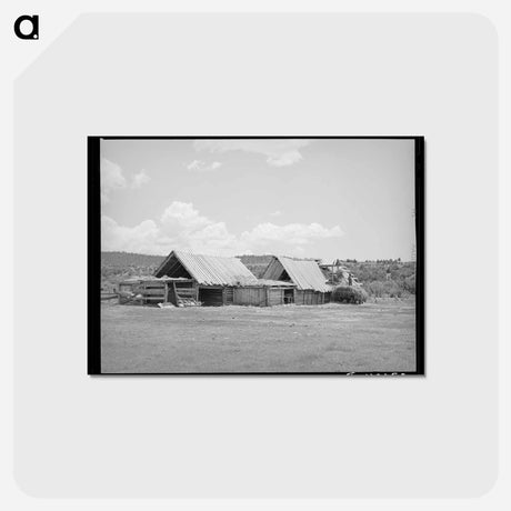 アートポストカード-Hay Barns of a Spanish-American Farm, Llano, New Mexico
 - ラッセル リー Postcard.