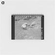 アートメモ帳-Drowned Chickens, Posey County, Indiana
 - ラッセル リー Memo.