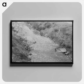 アートパネル-Mexican Boys Swimming, San Antonio, Texas
 - ラッセル リー Canvas.