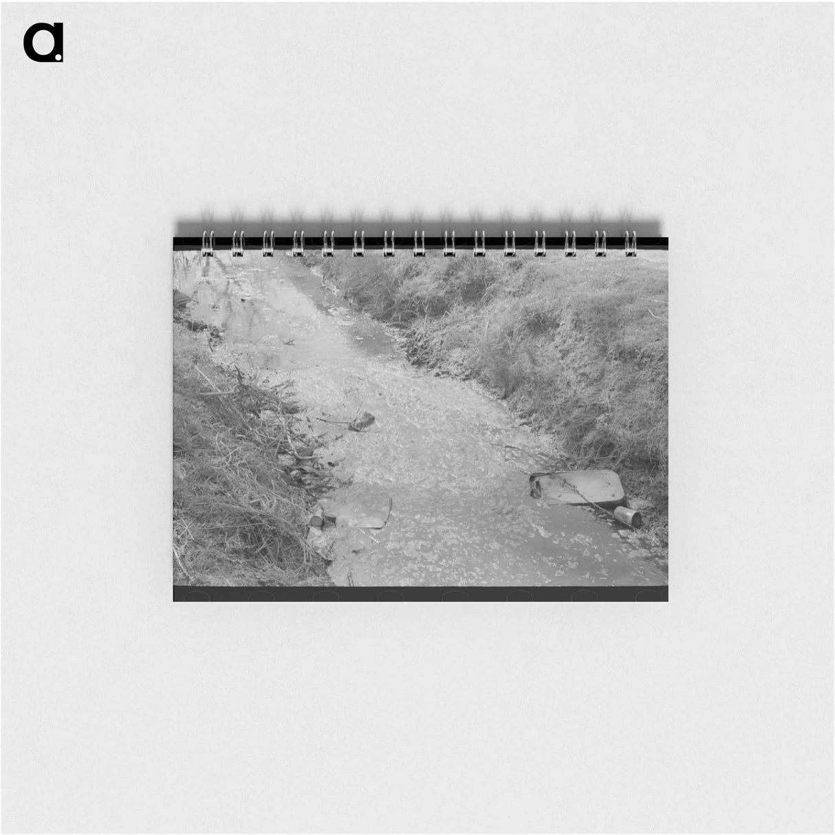 アートメモ帳-Mexican Boys Swimming, San Antonio, Texas
 - ラッセル リー Memo.