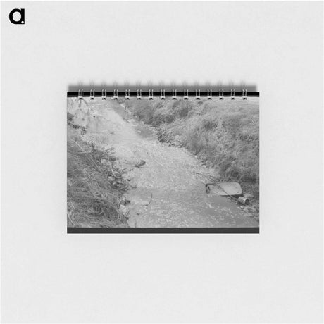 アートメモ帳-Mexican Boys Swimming, San Antonio, Texas
 - ラッセル リー Memo.